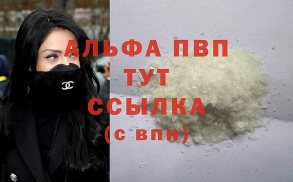 сатива Алексеевка