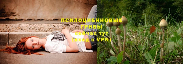 сатива Алексеевка