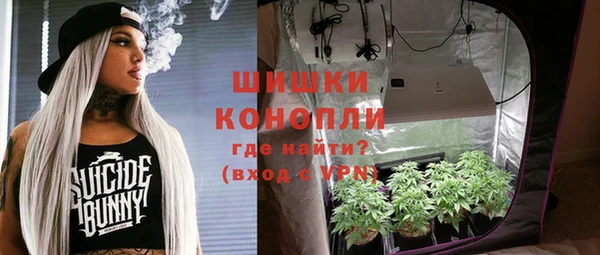 сатива Мегион